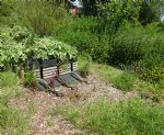 Biospheric Project Summer 2016